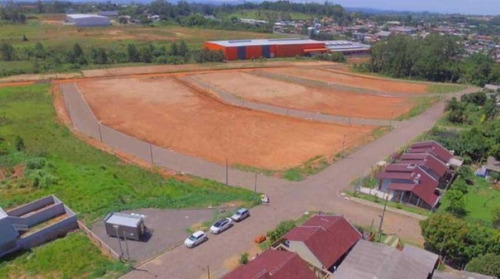Imagem 6 de 15 de Venda Terreno No Bairro Boa Vista