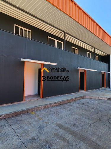 Arriendo Bodega De 750 M2 Con Of. En Ruta 5 Sur, Lautaro.