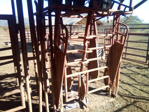 Imagen 7 de 14 de Finca Con 1.100 Hectáreas De Terreno Propio Tu Oportunidad