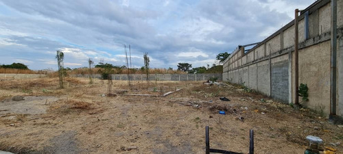 Imagen 2 de 14 de 138796 Anthony Marquez 04244338703 Venta Terreno Los Jarales