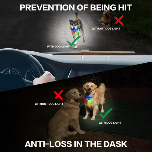 Luces Para Perros Para Caminar Nocturno ' Luz Para Collar De