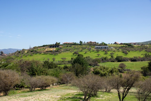 Venta Parcela En Limache, En Condominio Santa Teresa
