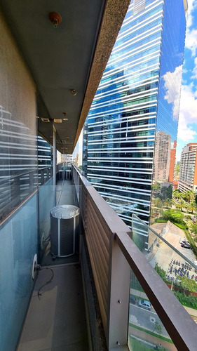 Imagem 11 de 15 de Parque Da Cidade Locacao E Venda | Npi Imoveis - V-4522