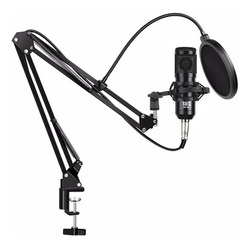 Microfono Condenser Bm-800 Estudio Karaoke Locucion Brazo