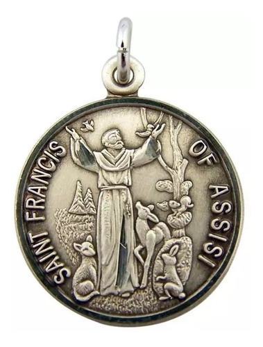 Medallon Cadena Colgante San Francisco De Asis