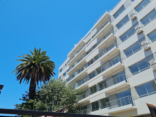 Venta Departamento 3 Ambientes Con 2 Balcones - Vicente Ló