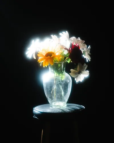 Filtro Cine Soft Fx 77 Mm Para Cámara Difusión Suave