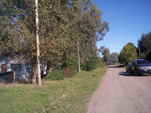 Imagen 8 de 13 de Lote En San Miguel Del Monte
