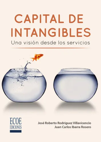 Capital De Intangibles Una Visión Desde Los Servicios