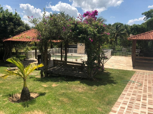 Imagem 4 de 30 de Chácara Em Granjas Mirassol (pachecos), Itaboraí/rj De 10000m² 3 Quartos À Venda Por R$ 990.000,00 - Ch1314298-s