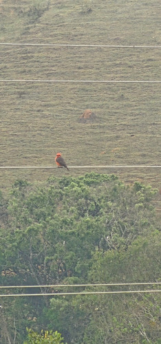 Linda Chácara Com 4533 Metros Em Itapeva Mg