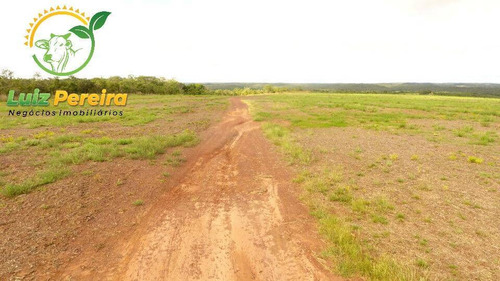 Imagem 11 de 15 de Fazenda À Venda Em Aparecida Do Rio Negro - To -1331 Hec (agricultura) - 1925