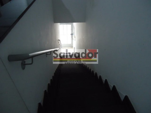 Imagem 14 de 14 de Imóvel Comercial Em Mirandópolis - São Paulo - 9528