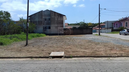 Imagem 4 de 7 de Terreno - Forquilhas - Ref: 32304 - V-32301
