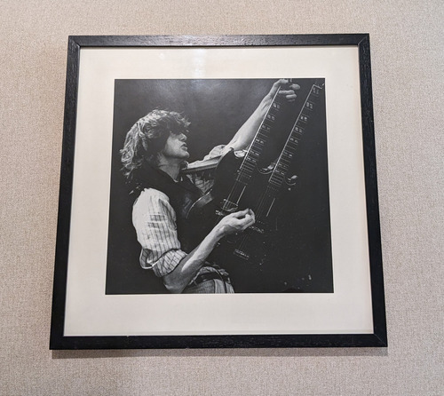 Cuadro De Jimmy Page - Led Zeppelin