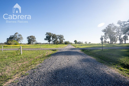 Imagen 4 de 6 de Venta De Lote, La Plata
