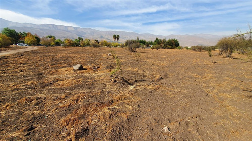 Sitio Venta Piedra Roja Colegio San Anselmo Colegio Aleman