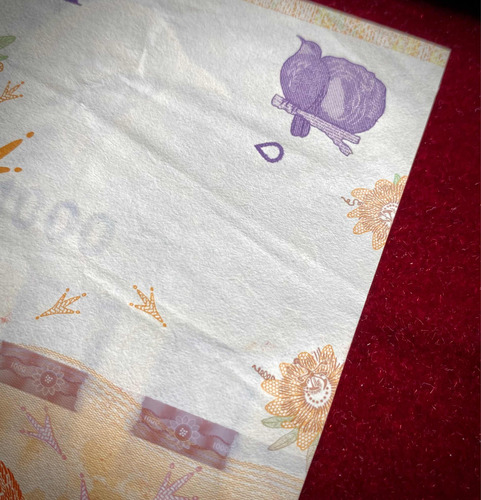 Billete 1000 Pesos Error De Impresion Sin 1000 Verde (Usado)