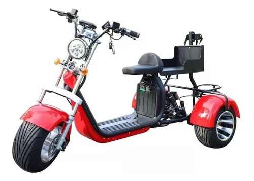 Brilstar Ly-3-20 Scooter Eletrica Triciclo Com Suporte De Go