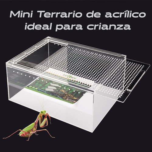 Reptizoo Nano Terrario Acrilico 30x20x15cm 3 Mm 9 L Criadero