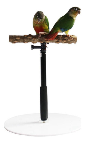 Bird Perch Parrot Training Playstand Con Base De Ejercicio