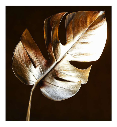 Vinilo 45x45cm Oro Hojas De Adan Monstera Plantas Deco M5