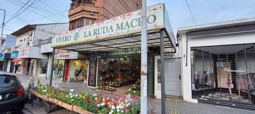 Imagen 2 de 7 de Terreno - Wilde