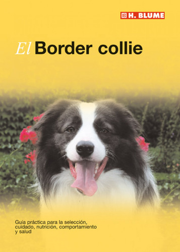 Border Collie, El - George,david