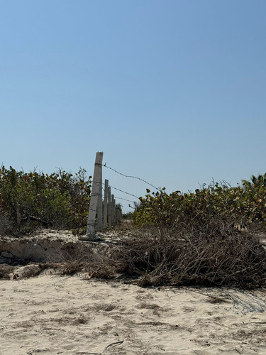 Terreno En Venta, Frente A Playa En San Crisanto, Yucatán
