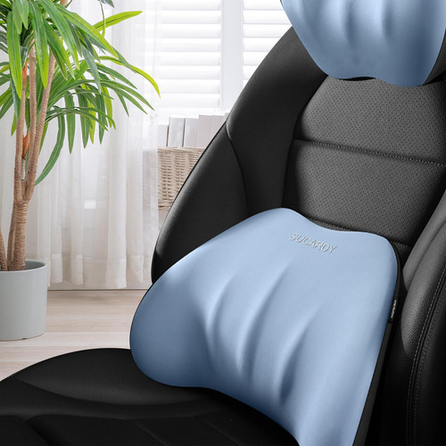Almohada De Apoyo Lumbar Almohada De Apoyo Para La Azul