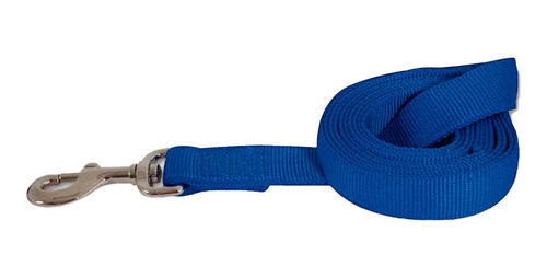 Correa De Nylon Para Perros Petmate Color Azul Tamaño 1 X6'