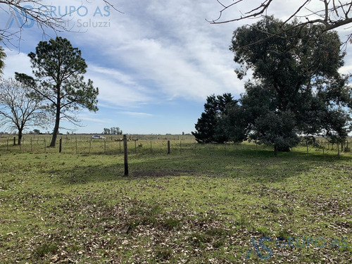 Excelente Campo Agricola De 62,73 Has.