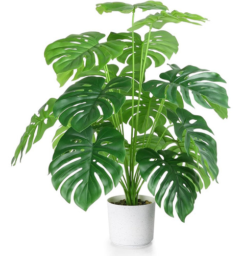 Eyamumo 28  Plantas Falsas Palmera Tropical Grande Monstera 