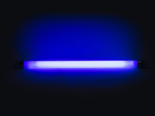 Lâmpada Fluorescente Tubular Uv Actínia Azul 8w Bl T5 30cm