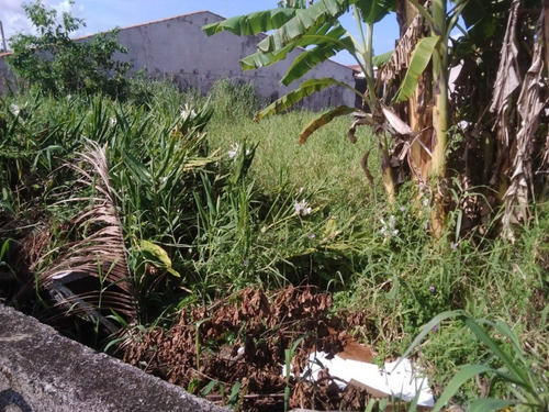 Imagem 5 de 6 de Terreno À 200 Metros Do Mar, De Esquina No Balneário Tupy Em Itanhaém