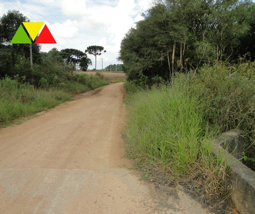 Imagem 11 de 30 de Chaçara Em Araucária. - Ch00097 - 34982946