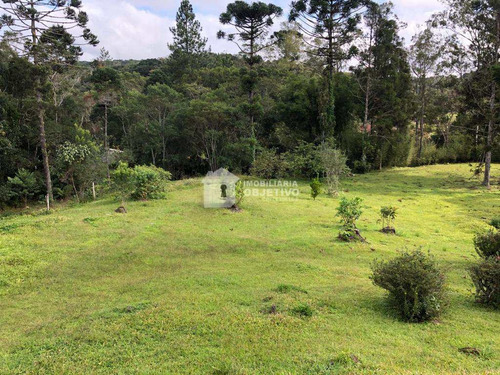 Chácara Com 1 Dorm, São Lourenço, São Lourenço Da Serra - R$ 375 Mil, Cod: 4157 - V4157