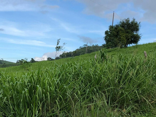 Imagem 10 de 15 de Fazenda Para Venda Em Canhotinho, Zona Rural - In - 0010_1-2014430
