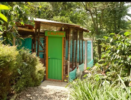 Casa Campestre En Venta En Vereda El Zancudo. Cod V12233
