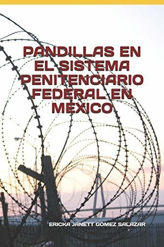 Pandillas En El Sistema Penitenciario Federal En Mexico