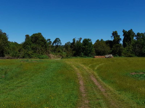 Se Vende Hermoso Campo En La Unión