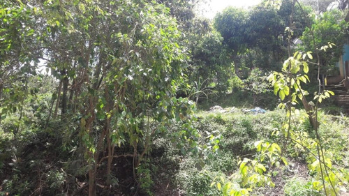 Imagem 15 de 21 de Terreno Em Parque Rizzo Ii, Cotia/sp De 1380m² À Venda Por R$ 160.000,00 - Te463143-s