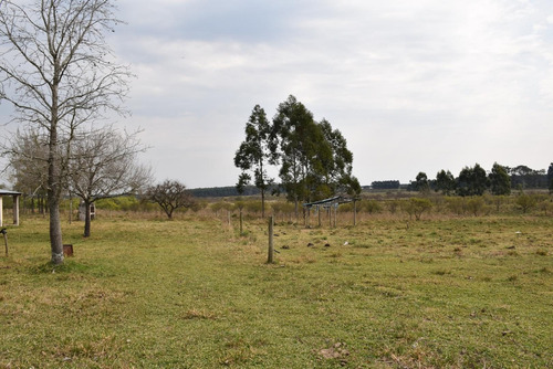 Imagen 5 de 16 de Campo De 49 Has. En La Criolla