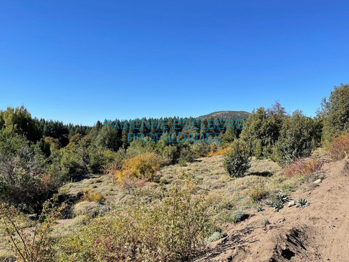 Imagen 1 de 7 de Terreno Caleuche 600 M2- San Martin De Los Andes
