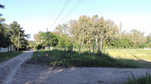 Lote 534m2 Los Aromos Del Pato - Ultimos Lotes Apto Credito - El Pato Berazategui