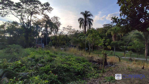 Imagem 8 de 9 de Terreno À Venda, 180 M² Por R$ 100.000,00 - Campo Grande - Rio De Janeiro/rj - Te0200