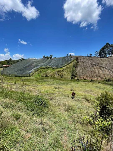 Vendo Terreno En El Carmen De Víboral Antioquia 2.200 Mts Ch