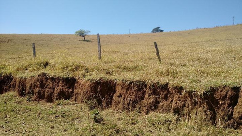 Imagem 8 de 12 de Sítio Para Venda Em Vargem, Lopo - 5422_2-318296
