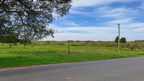Vendo Campo 200 Mts De Frente Ruta 1