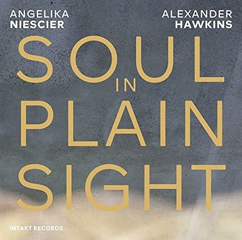 Cd Soul In Plain Sight - Angelika Niesicer